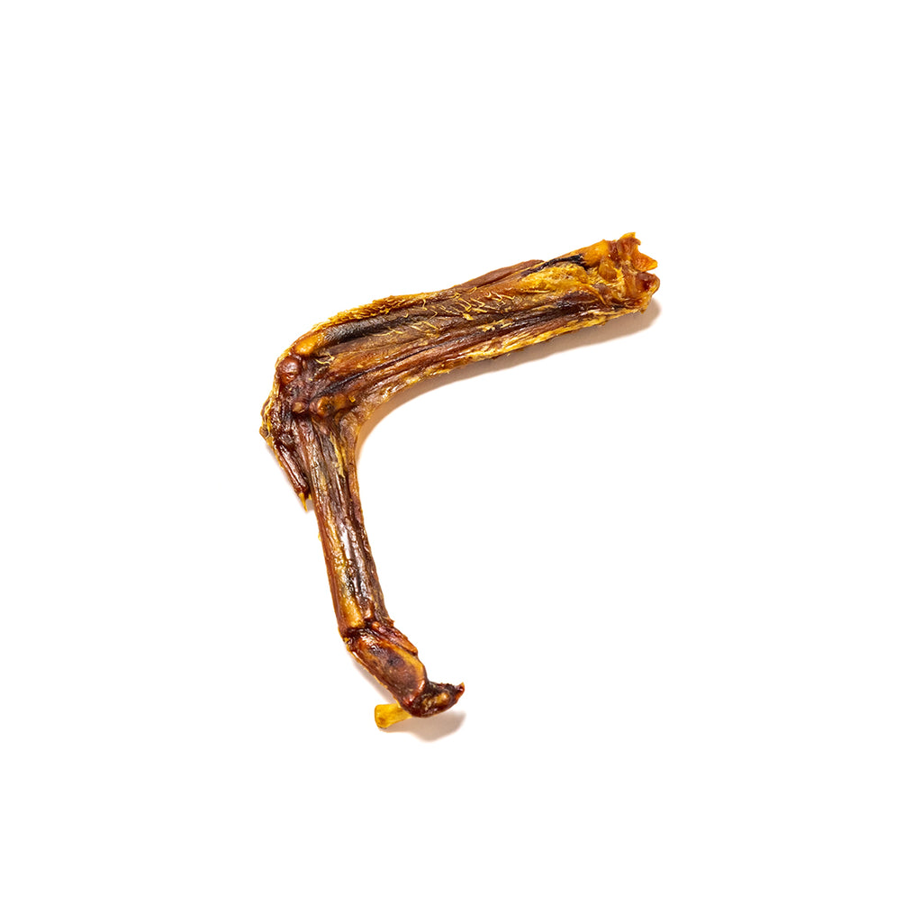 Duck Wings