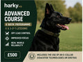 Advanced Course