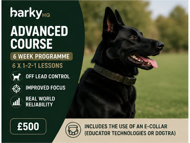 Advanced Course