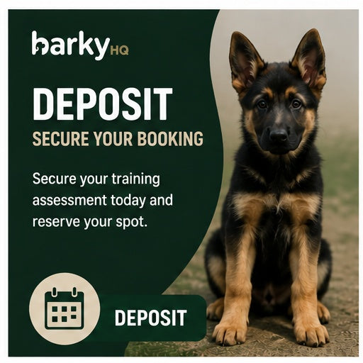 Behaviour Assessment / Trial Lesson, UB1 & UB2 Area - DEPOSIT