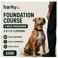 Foundation Course