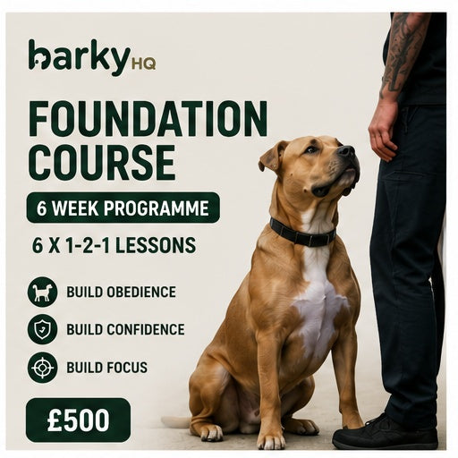 Foundation Course
